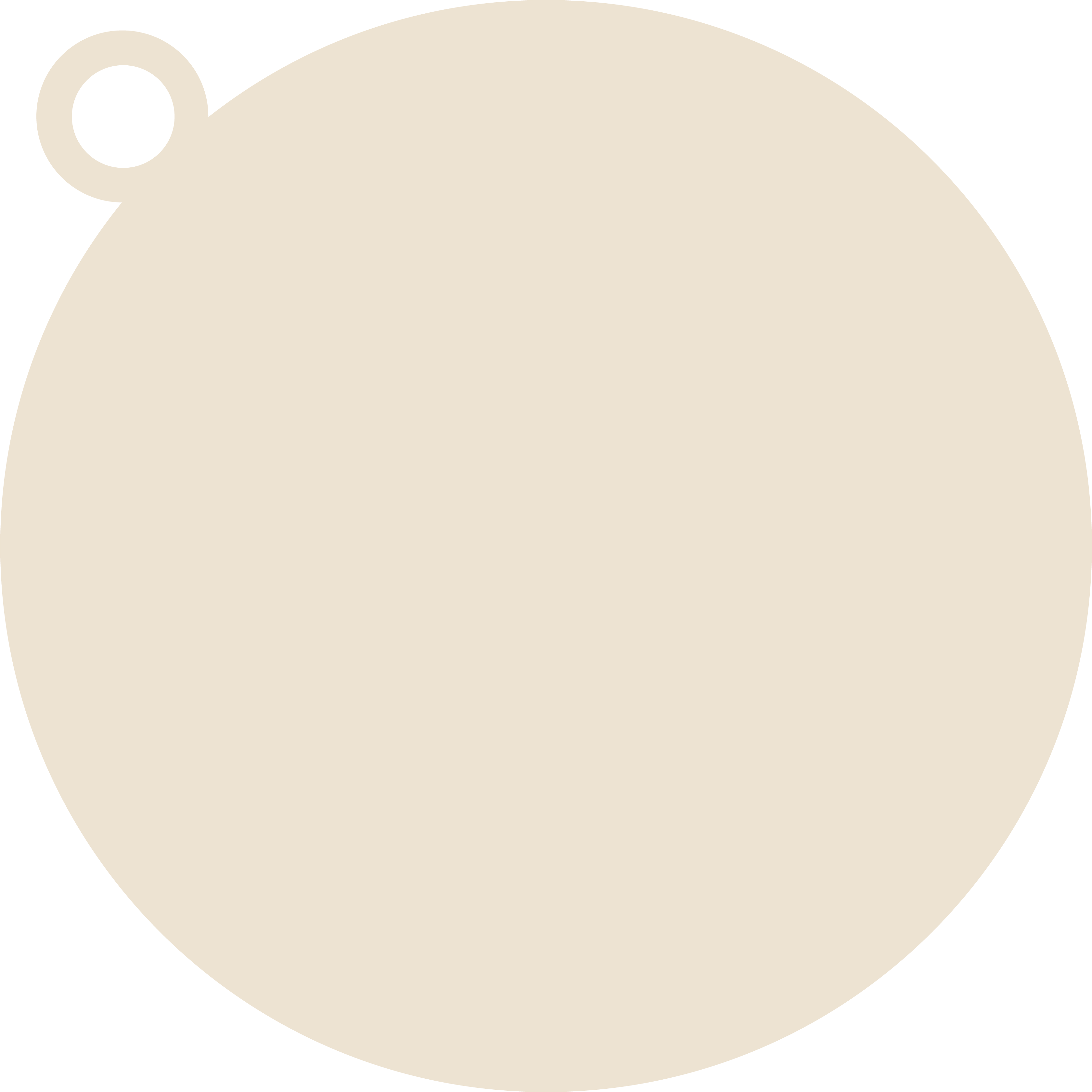 Profile Picture Template