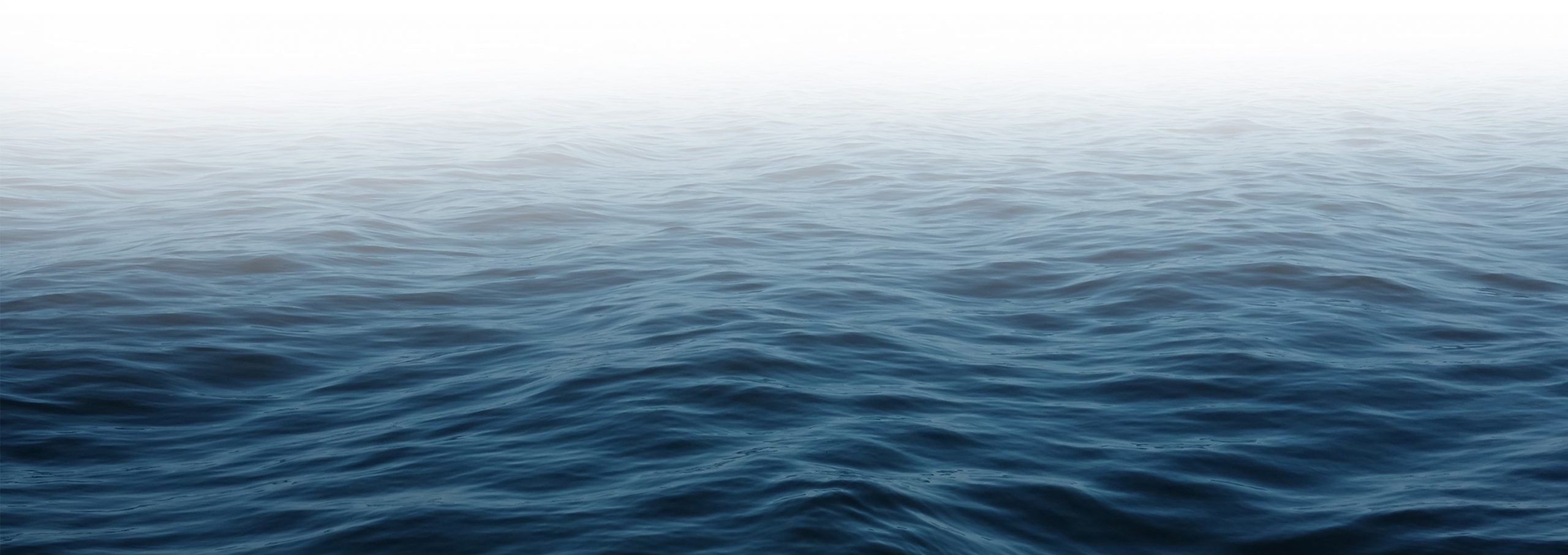 Student page background 2